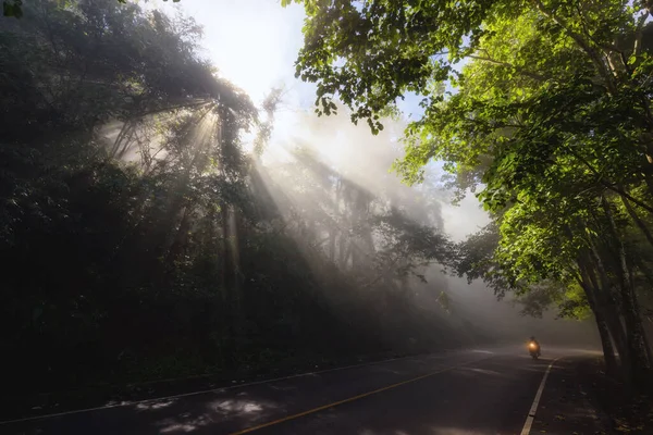 Silhouette Motorbike Riding Street Rays Light Tree Forest Morning Fog — Stock fotografie