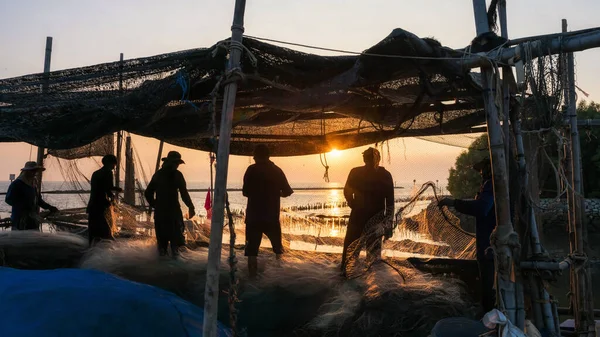 Pescadores Silhueta Puxam Rede Para Obter Peixes Foca Pôr Sol — Fotografia de Stock