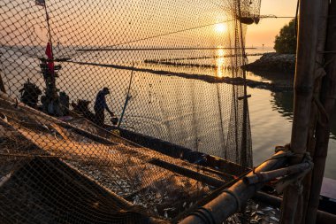 Siluet balıkçıları ve birçok balık gün batımında rıhtımda, Bang Pu, Samuth Prakan, Tayland. Deniz ürünleri endüstrisi.