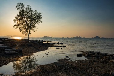 Tayland, Krabi 'deki Koh Kwang adasında gün batımına karşı bir siluet. Güney Tayland 'da ünlü bir tatil beldesi. Ufuk çizgisi yansımalı deniz manzarası.