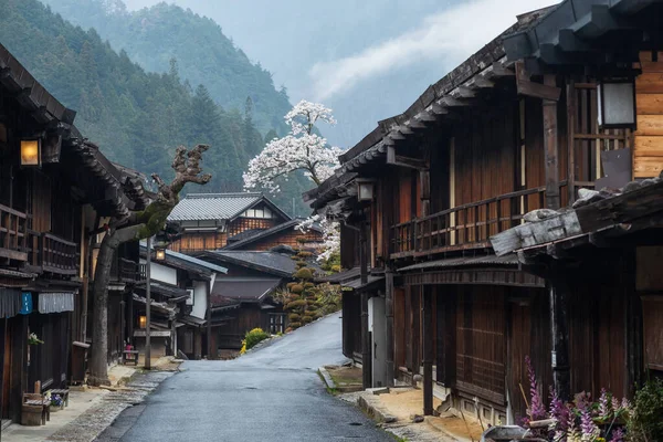나가노 쓰마고 시에서는 안개가 자욱하게 사쿠라 보존되고 목적지 — 스톡 사진