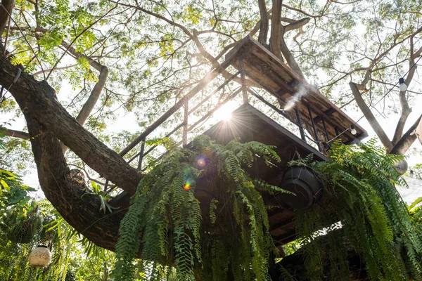 Punto Vista Cabina Grande Albero Con Acqua Vapore Contro Luce — Foto Stock