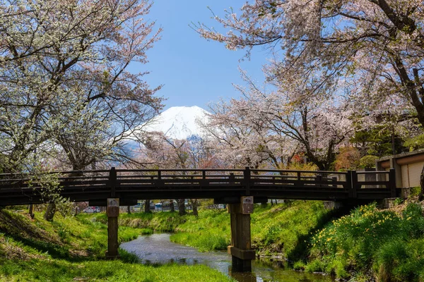 Pink cherry blossom or sakura along canal and wooden bridge at Oshino Hakkai village with Mountain Fuji or Fujisan at spring, Yamanashi, Japan. Famous travel destination at Fuji 5 lakes.