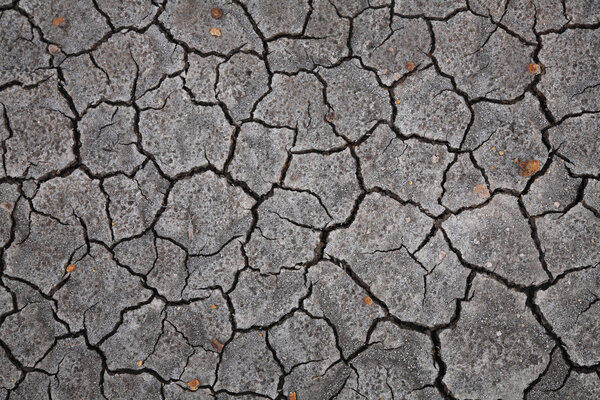 сухая и треснутая почва
 