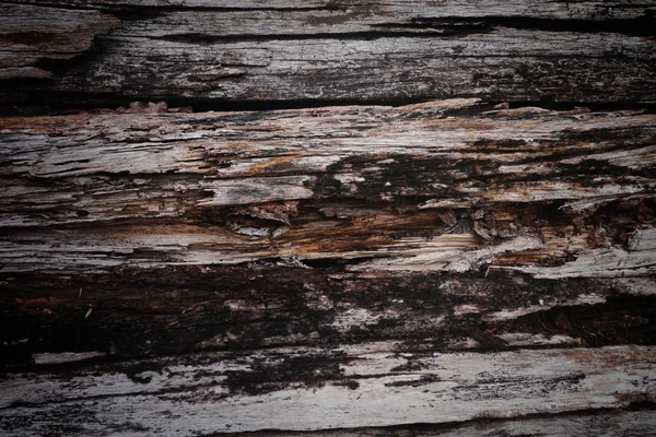 Madeira velha grunge empilhar madeira — Fotografia de Stock