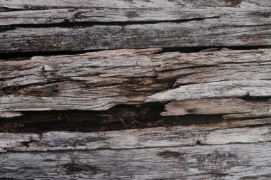 Ahşap dokulu deseni grunge kırdı