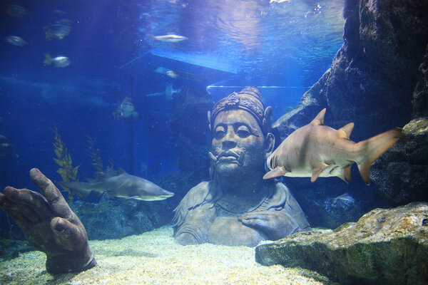 Thai traditional giant with many sharks in the water at Siam Ocean world Aquariam in Bangkok, Thaiand