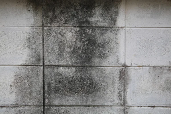 Alte grobe Steinmauer — Stockfoto