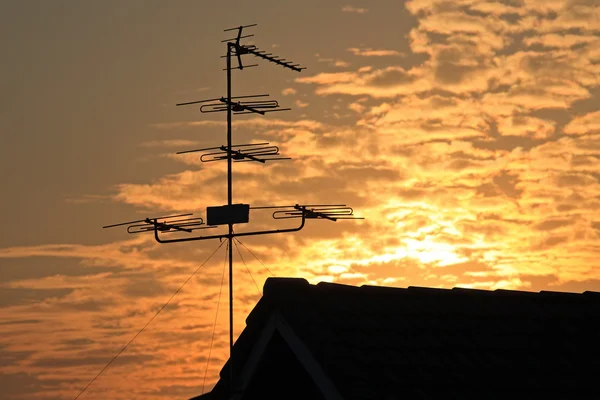 Old television antenna (Fishbone)  against sunrise — Stock Photo, Image