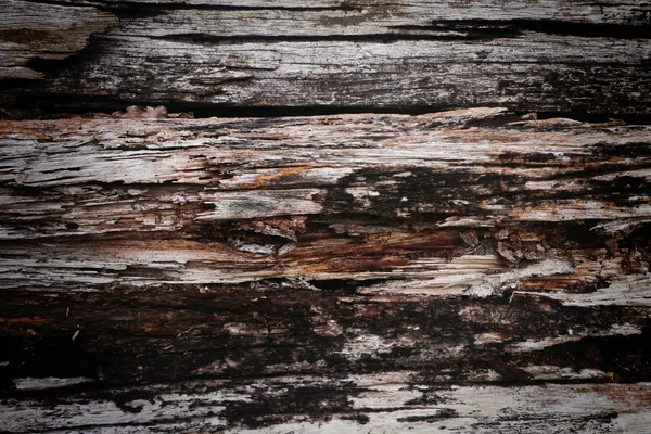 Stary złamał lesie teksturowanej tło — Zdjęcie stockowe