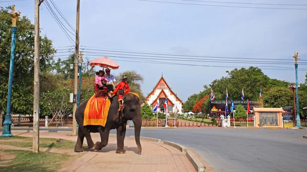 Mahout tailandese e visitatori a cavallo elefante a Ayutthaya — Foto Stock