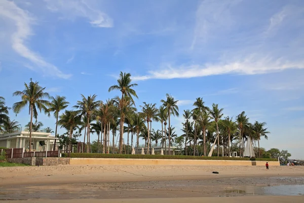 椰子树的豪华度假村 — 图库照片