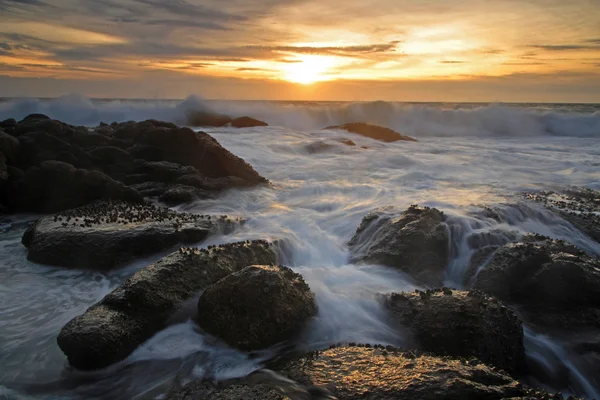 Wave against the rock at sunset — Stock Photo, Image