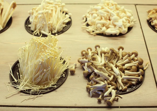 Різні види грибів — стокове фото