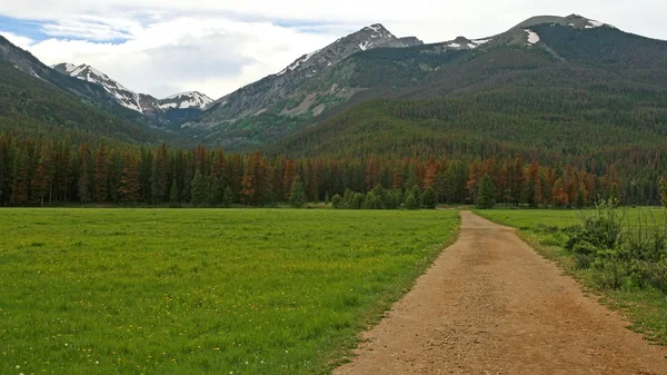 Autumn trees at Rocky mountain — Stock Photo, Image