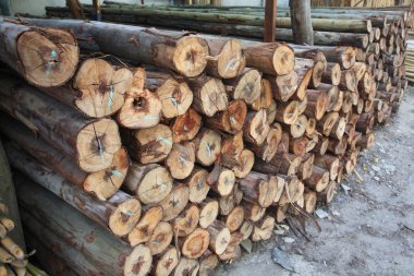 Odun yığını satışa günlüğe kaydeder.