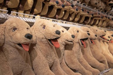 Çok Labrador retriever bebek Satılık 