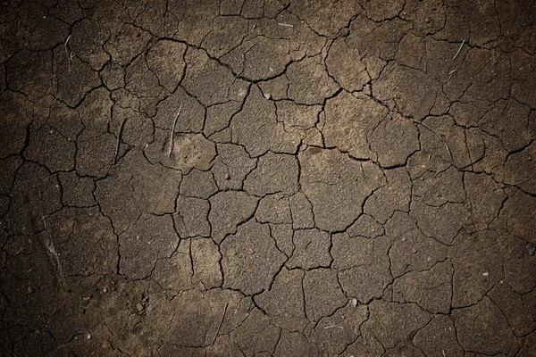 Våta sprucken jord eller smuts för texturerat bakgrund — Stockfoto