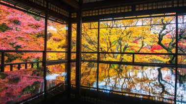 Japonya 'nın Kyoto kentindeki Ruriko-in Tapınağı' nın ahşap masasında simetri yansıması olan renkli sonbahar Japon yaprak bahçesi. Aralık ayının sonbaharında Kansai 'yi gezmek için seyahat yeri