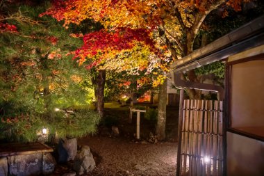 Kurodani Konkai Komyo-ji bahçesine yürüme yolu sonbahar ışığı, Kyoto, Japonya. Kansai 'yi sonbahar illüzyonu için gezmek için ünlü bir seyahat yeri..