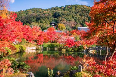 Eikan-do Zenrinji pagoda tepenin üzerinde, Japonya 'nın Kyoto gölünde ufuk çizgisi yansıması olan güzel bir sonbahar yeşilliği bahçesi. Sonbahar mevsiminde Kansai 'yi gezmek için ünlü bir tatil beldesi..