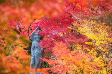 Taş Çin Tanrısı heykelinin renkli sonbahar akçaağaç yaprağı tüneli, Eikando 'daki Guanyin veya Japonya' daki Eikan-do Zenrinji tapınağı bahçesi. Sonbaharda Kansai 'yi gezmek için turistik bir yer..