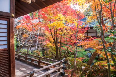 Eikan-do Zenrinji tapınağı verandasında sonbaharda Kyoto, Japonya 'da güzel bir koloful yaprak bahçesi var. Sonbahar mevsiminde Kansai 'yi gezmek için ünlü bir tatil beldesi..