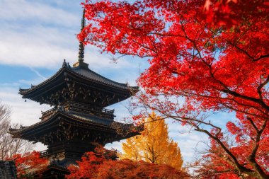 Kırmızı akçaağaç ve sarı ginkgo yaprakları Shinnyodo Tapınağı 'nın ahşap mabedi tarafından sonbaharda, Kyoto, Japonya. Sonbaharda Kansai 'yi gezmek için ünlü bir tatil beldesi..