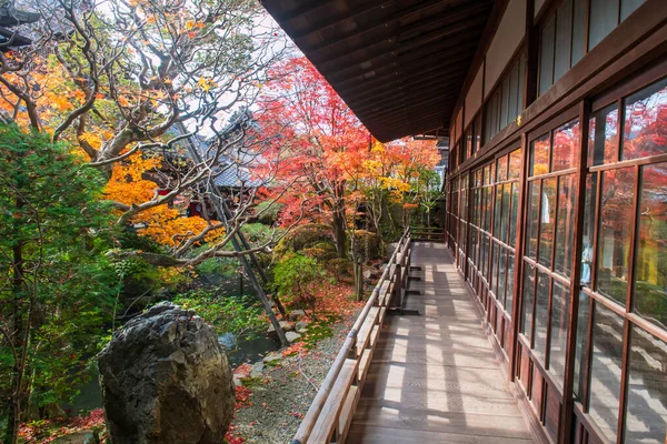 Eikando Zenrinji tapınağının balkonunda sonbaharda Kyoto, Japonya 'da güzel bir koloful yaprak bahçesi. Sonbahar mevsiminde Kansai 'yi gezmek için ünlü bir tatil beldesi..