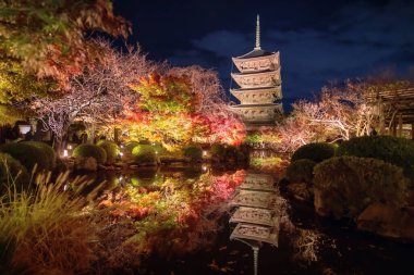 Toji beş katlı pagoda ve renkli sonbahar parkı geceleri Japonya 'nın Kyoto kentindeki gölette ufuk çizgisi yansımasıyla aydınlanıyor. Turist gezisi için Kansai 'yi sonbahar aydınlanması için gezme yeri.