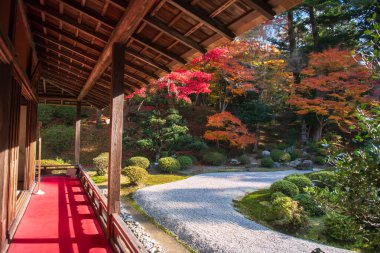 Manshuin Monzeki Tapınağı verandasında sonbahar akçaağaç yaprakları renginde, Kyoto, Japonya. Sonbaharda Kansai 'yi gezmek için ünlü bir tatil beldesi..