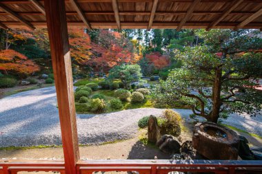 Japonya, Kyoto 'daki Manshuin Monzeki Tapınağı' nda sonbahar akçaağaç yaprağı renginde kaya bahçesi ve su havzası. Sonbaharda Kansai 'yi gezmek için ünlü bir tatil beldesi..