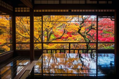 Japonya, Kyoto 'daki Ruriko-in Temple' da sonbahar akçaağaç yaprağı bahçesinin simetri yansıması olan ahşap masa. Sonbaharda Kansai 'yi gezmek için ünlü bir seyahat yeri..