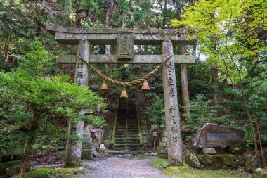 Torii Shinto kapıları ve Futagoji Budist Tapınağı 'ndaki dağ yolu, Kunisaki, Oita, Japonya. Futagoji Ryoko-ji Manzan Tapınağı Mt. Kunisaki Yarımadasında Futago.