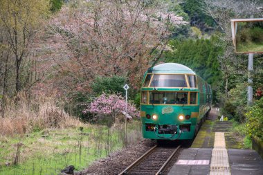 Yufuin No Mori treni Bungo Nakagawa İstasyonu 'ndan geçiyor. Pembe kiraz çiçekleri eşliğinde ilkbaharda, Hita, Japonya' da. Hakata Fukuoka istasyonundan Oita ve Beppu 'ya motor nakli.