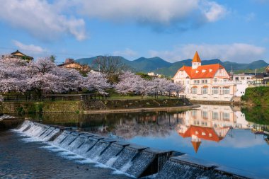 Siebold no Yu ve pembe sakura kiraz ağacı, Ureshino onsen parkı, Saga, Kyushu, Japonya 'da yer alır. İlkbaharda kaplıcaların olduğu spa bölgesine seyahat.