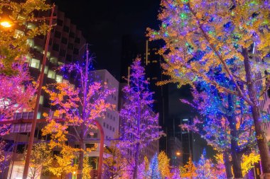 Japonya 'nın Kansai şehrindeki Midosuji Caddesi' ndeki ağaçlar Osaka kasabasının renkli ışıklarıyla aydınlanıyor. Yılbaşını ve 2025 yılını kutlamak üzere Aralık ayında düzenlenen aydınlanma festivali.