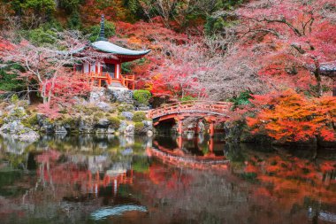 Daigo-ji Tapınağı 'nın köprüsü ve Pavilion tapınağı. Sonbahar bahçesi renkleri ve Japonya' nın Kyoto gölünde ufuk çizgisi yansıması. Aralık ayında Kansai 'de turist gezisi.