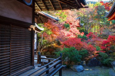 Sonbaharda Japonya, Kyoto 'da renkli akçaağaç yaprağı bahçesi ve pagoda manzaralı Bishamondo tapınağı verandası. Aralık ayında Kansai 'de turistler için ünlü bir tatil beldesi..