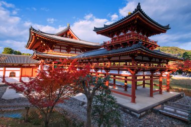 Phoenix Byodo-In Tapınağı Unesco Dünya Mirası. Sonbaharda renkli akçaağaç yaprağı ve mavi gökyüzü, Uji, Kyoto, Japonya. Aralık ayında Kansai 'de turistlerin en iyi tatil yeri..