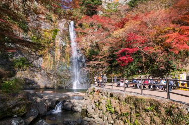 Turistler Minoo Parkı 'nda sonbahar yeşillik renkleriyle güzel bir Minoh şelalesi görüyorlar. Sonbaharda Kansai, Osaka, Japonya 'yı gezmek için ünlü bir seyahat yeri.