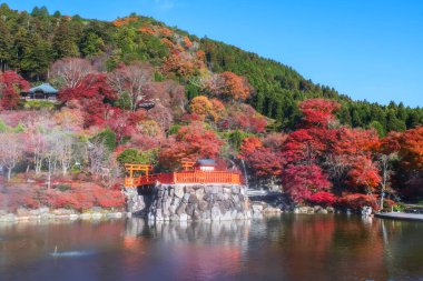 Japonya 'daki Minoh, Osaka' daki Katsuo-ji tapınağındaki sahte buharlı ve renkli sonbahar bahçeli Torii kapısı ve tapınağı. Sonbaharda Kansai 'yi görmek için ünlü bir seyahat yeri. Zafer tapınağı