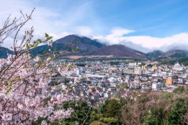 Yukemuri Gözlemevi 'nde, Oita, Kyushu, Japonya' nın Beppu şehir manzaralı pembe sakura çiçekleri. Gökyüzü manzarası için ünlü bir seyahat yeri..