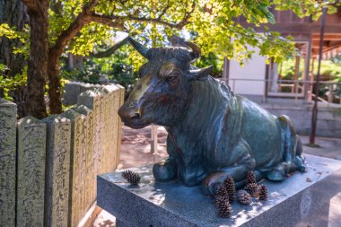 Fukutsu 'daki Miyajidake Tapınağı' nda öküz heykeli heykeli. Şehir ve okyanus manzaralı, Fukuoka, Japonya 'daki tapınağı ziyaret etmek için ünlü bir seyahat yeri.