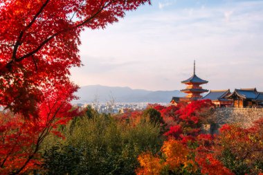 Günbatımında akçaağaç yaprakları ile Kiyomizu-dera tapınağı, Kyoto, Japonya. Parlak kırmızı ve turuncu renkli sonbahar renkleriyle ünlü tapınak manzaralı güzelliği arttırıyor..