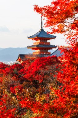 Kiyomizu-dera pagoda ve sonbaharda günbatımında kırmızı akçaağaç folyo renkleri, Kyoto, Japonya. Tapınak kırmızı ve turuncu pagoda renkli sonbahar yapraklarıyla göze çarpar. Dikey duvar kağıdı.