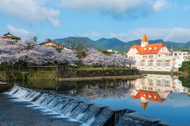 Siebold no Yu ve Sakura kiraz ağacı, Ureshino onsen parkı, Saga, Kyushu, Japonya 'da ufuk çizgisiyle birlikte nehir yoluyla çiçek açar. İlkbaharda kaplıcaların olduğu spa bölgesine seyahat.