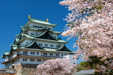 Nagoya Şatosu, pembe kiraz çiçekli ve mavi gökyüzü ilkbaharda, Japonya 'da. Ünlü seyahat simgesi ya da tatilci durağı Aichi, Chubu 'da baharda..