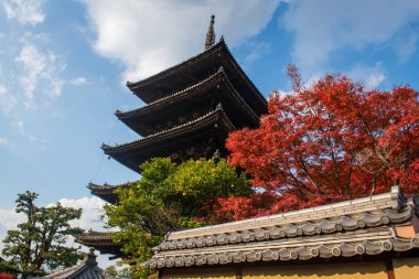 Hokanji tapınağından Iconic Yasaka pagoda ve sonbaharda mavi gökyüzüne karşı renkli akçaağaç yaprakları, Higashiyama bölgesi, Kyoto, Japonya. Özellikle sonbahar mevsiminde Kansai 'de ünlü bir seyahat yeri..