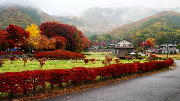 Japansk by nära maple korridor, Kawaguchiko — Stockfoto